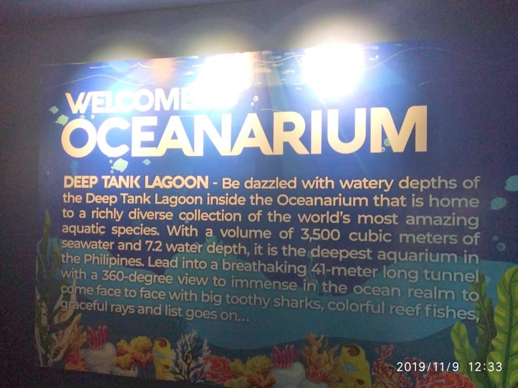cebu ocean park deep lagoon