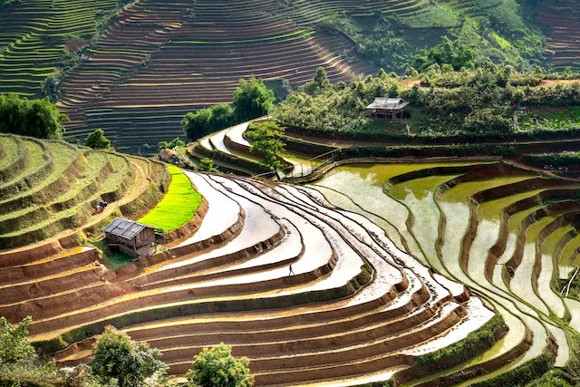 Banaue Rice Terraces Top 10 tourist attractions in the philippines