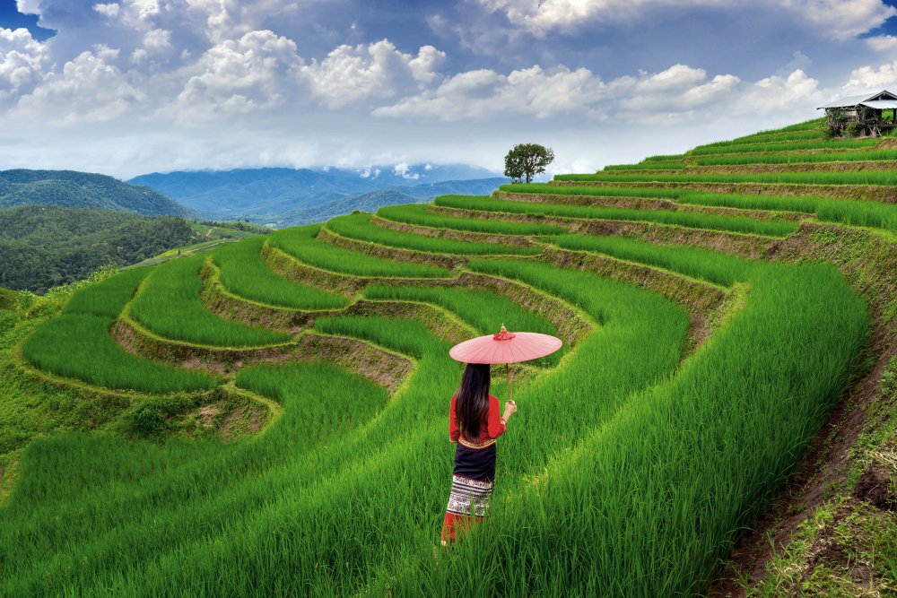 rice terraces ifugao