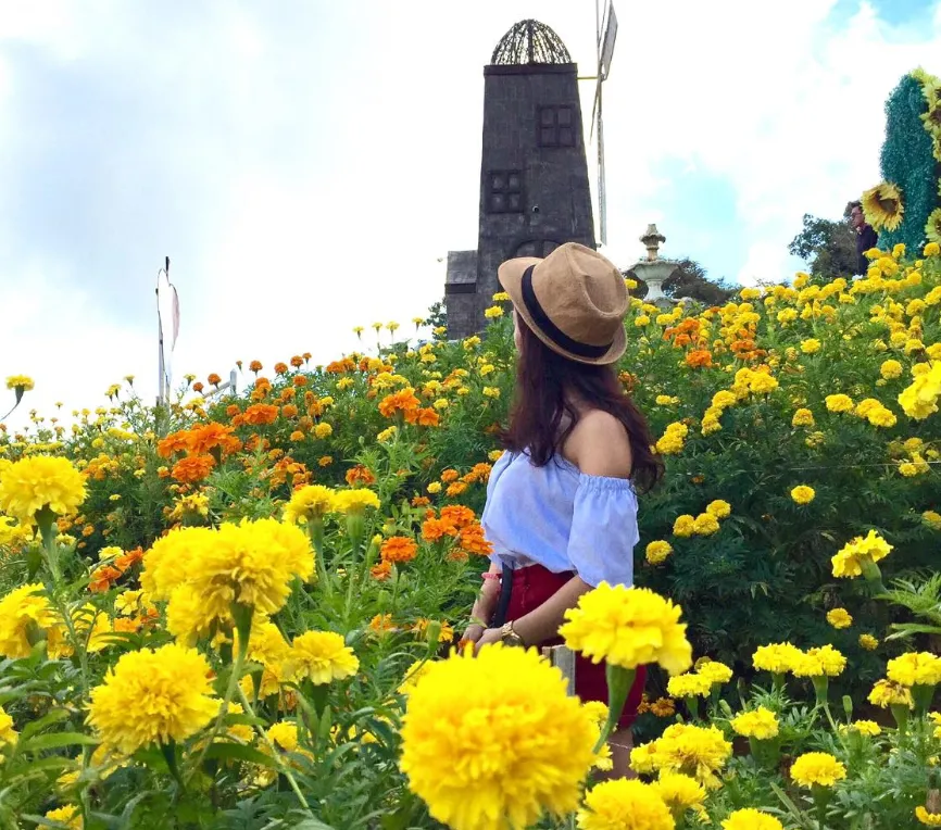 Sirao Flower Garden