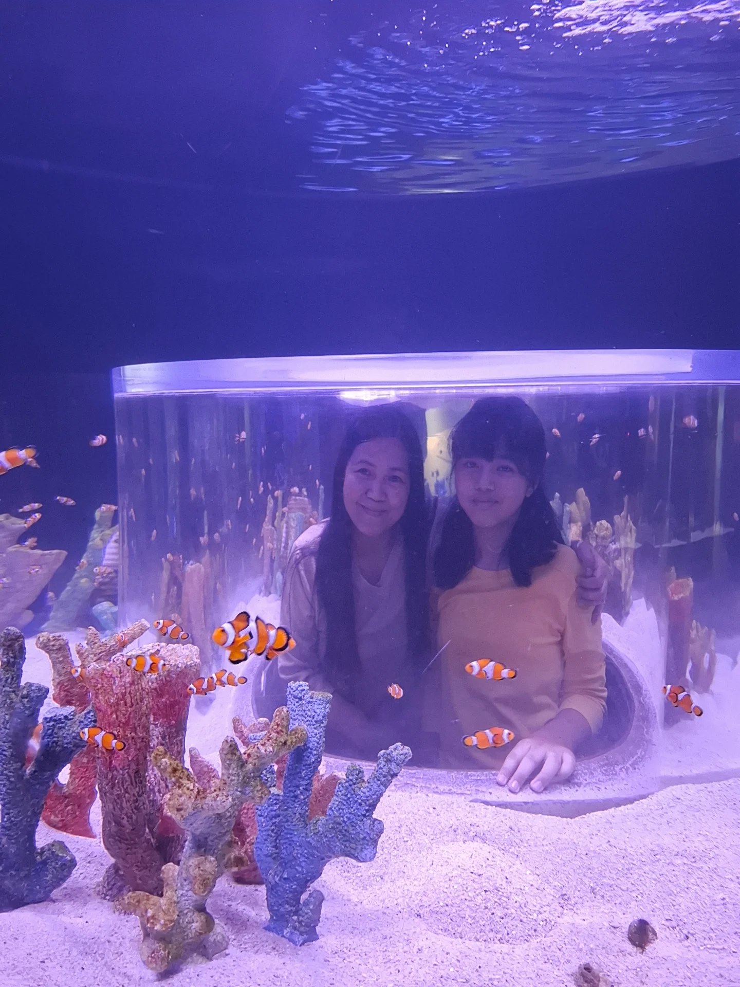 Bright orange and white clownfish swimming near the glass tunnel portal entrance, photographed during our family visit to Cebu Ocean Park