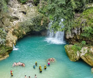 Kawasan Waterfall Canyoneering and Moalboal Sardine Run tour — snorkeling with sea turtles and massive sardine schools combined with canyoneering to Kawasan Falls Cebu