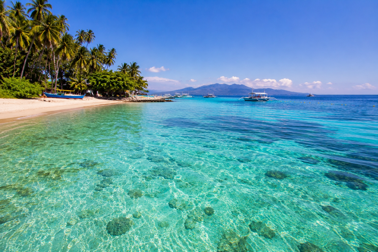 Calm turquoise water at Apo Island on a clear dry season morning — ideal snorkeling and diving conditions November to May Philippines