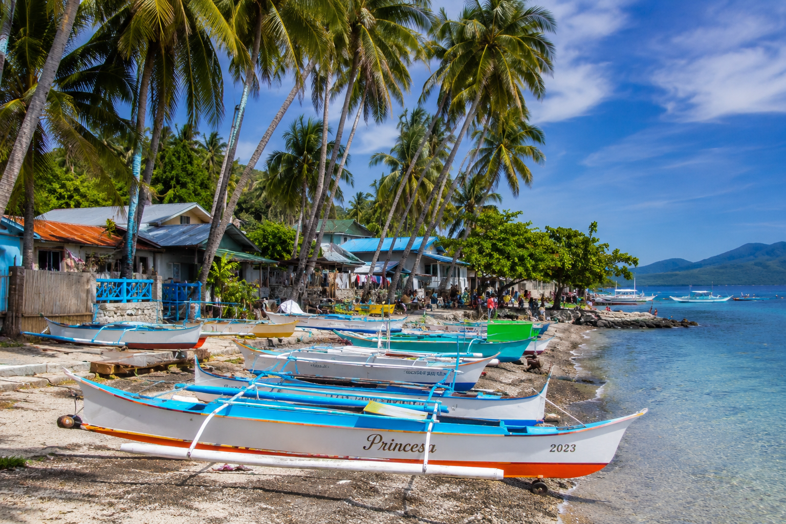 Apo Island fishing village with colorful bangka boats on the beach and coconut palms — the lighthouse trail path visible leading up the volcanic hill Philippines