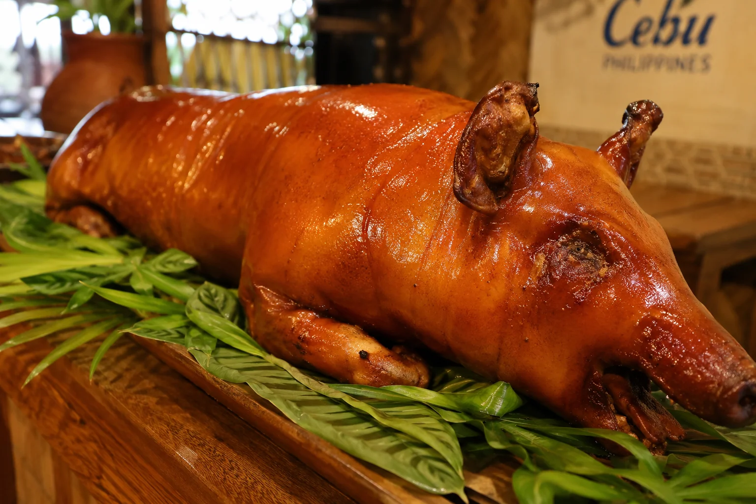 Cebu Philippines Travel Guide 2026: Tourist Spots, Beaches & Tips 15 Cebu lechon Philippines — golden crispy whole roasted pig, the most famous Filipino food dish in Cebu