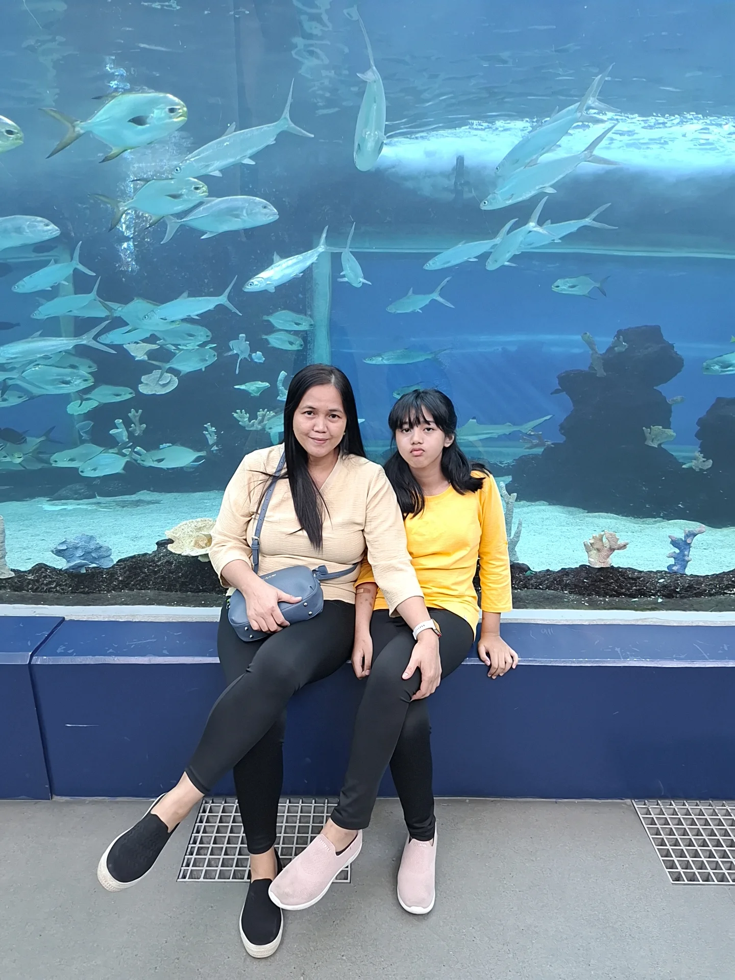 Cebu Ocean Park Philippines — shark tank exhibit at the largest oceanarium in the Philippines at SM Seaside City