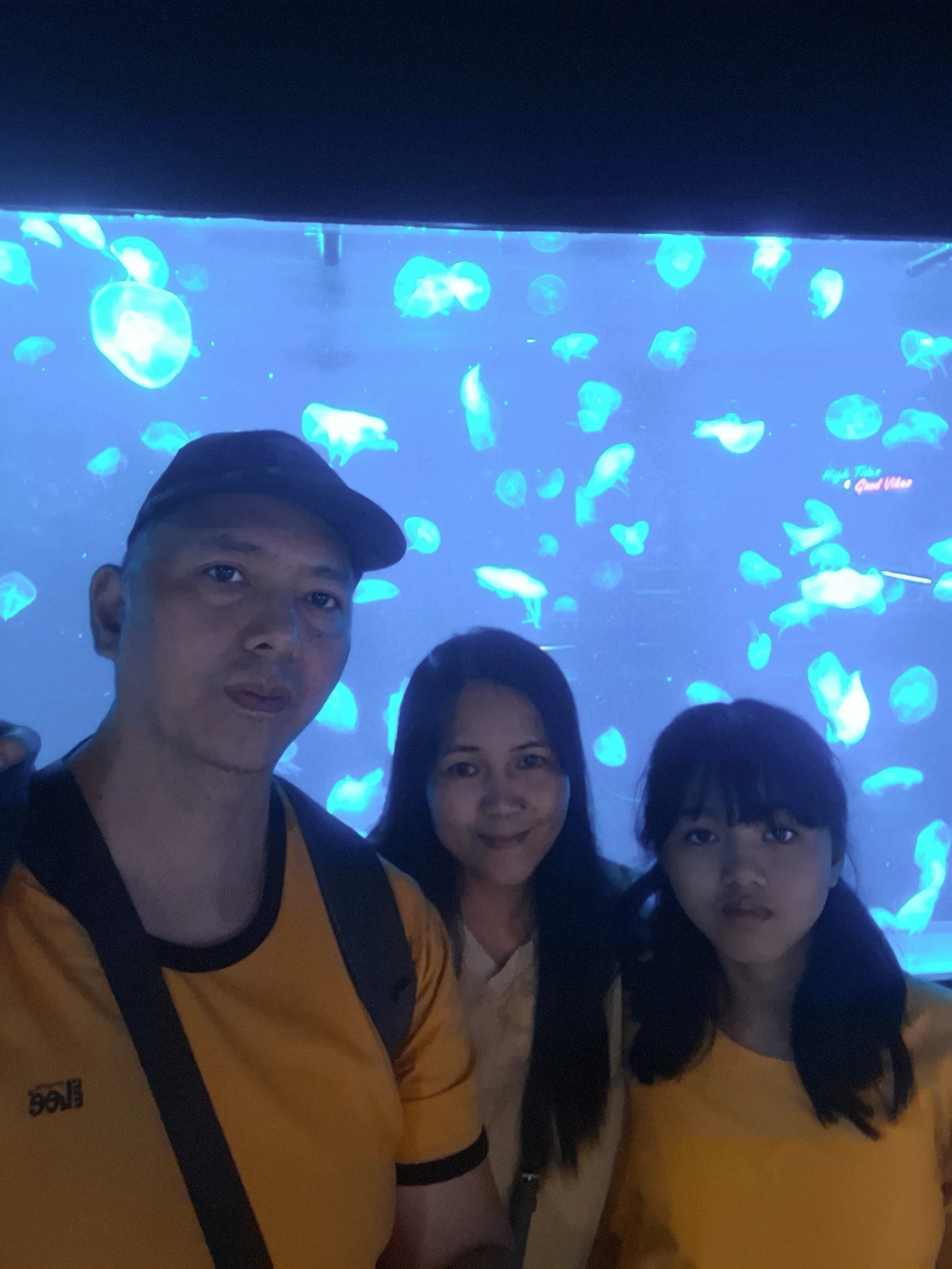 Cebu Ocean Park penguin exhibit — live penguins on display at the Philippines largest marine theme park
