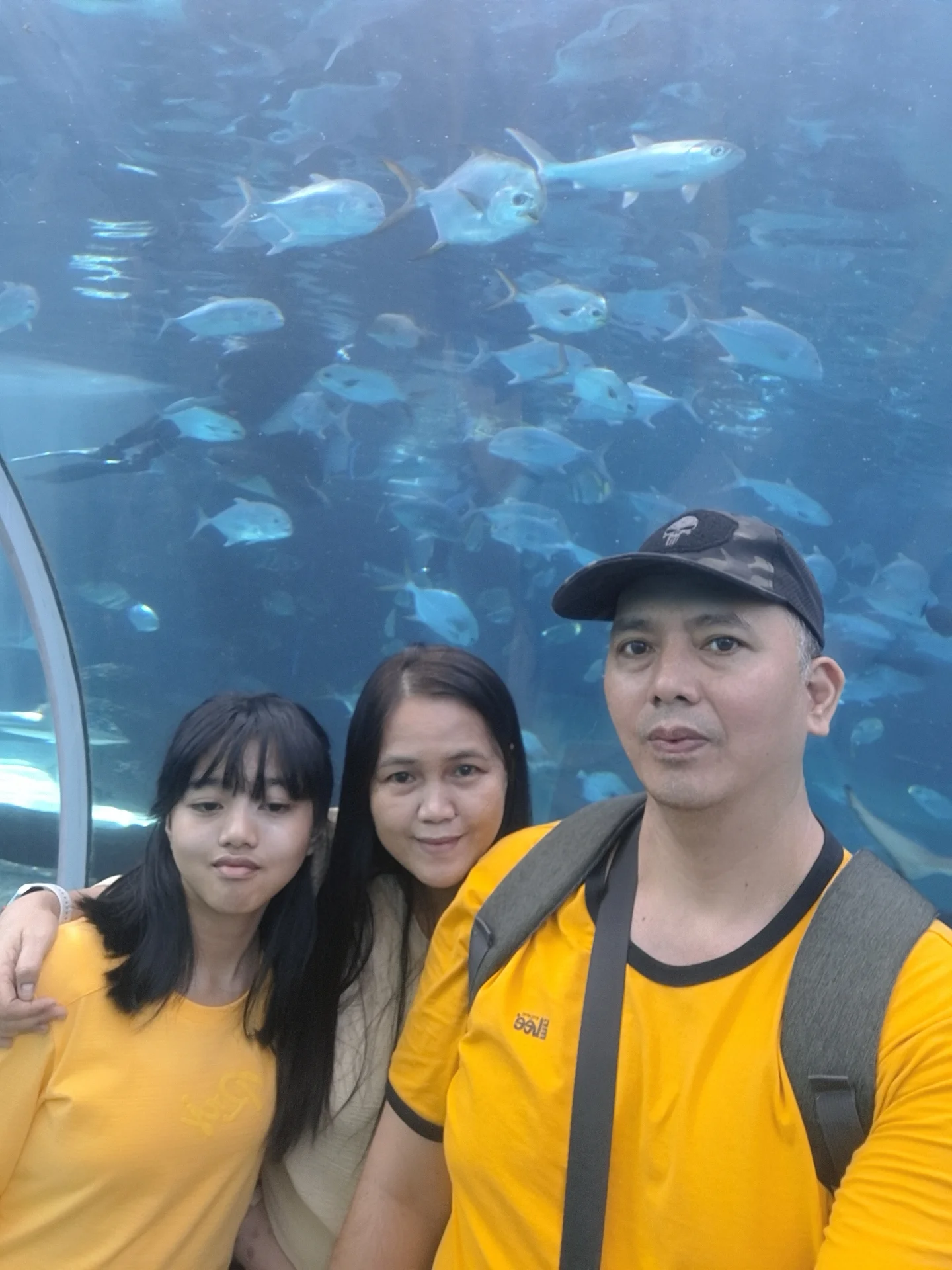 Cebu Ocean Park sea lion show — live performance at SM Seaside City Cebu, best family attraction in Cebu Philippines