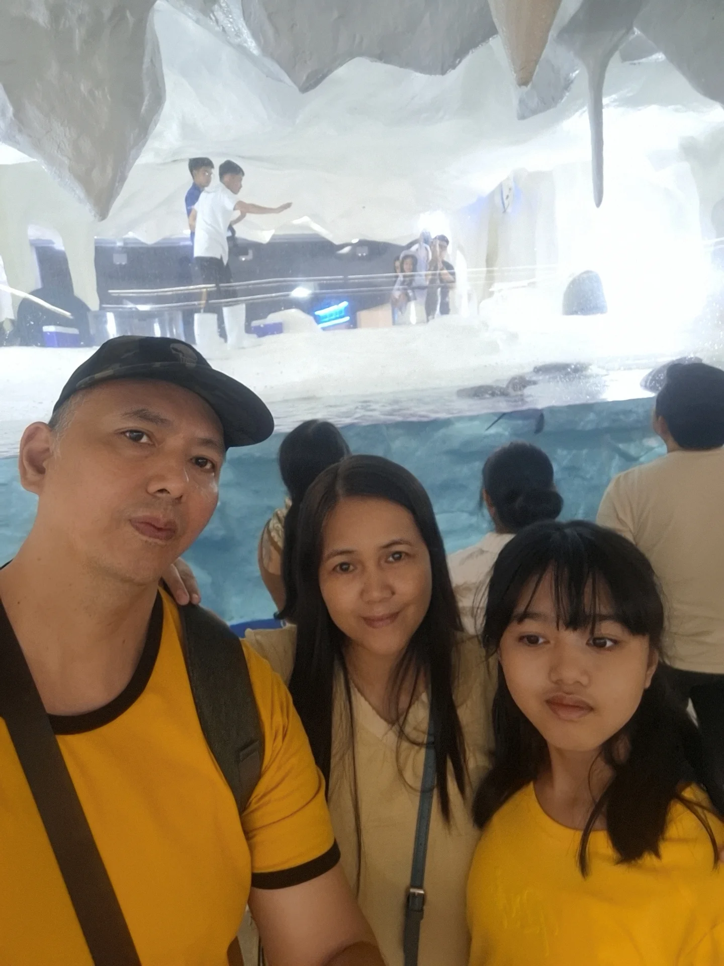 Cebu Ocean Park — underwater tunnel walkway with marine life visible overhead at the SM Seaside oceanarium