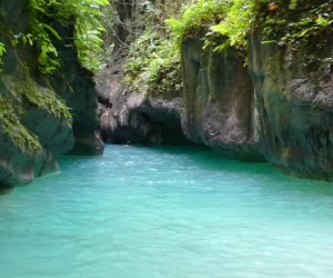Tour around Moalboal Cebu island hopping and canyoneering — snorkeling the sardine run, island hopping, and Kawasan Falls canyoneering in one full-day private or join-in tour from Cebu City