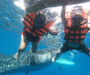 Underwater paradise of Oslob Cebu — colorful coral reef and marine life with whale sharks at Tan-awan Oslob, Cebu Philippines