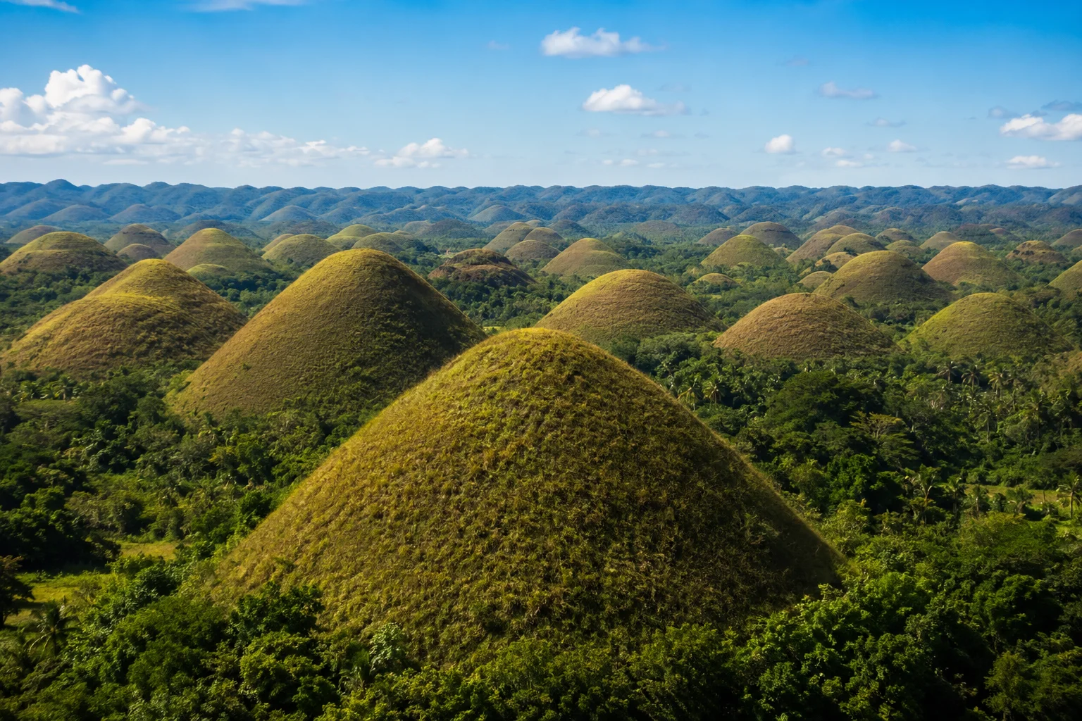 Chocolate Hills in Bohol seen on a day trip from Cebu