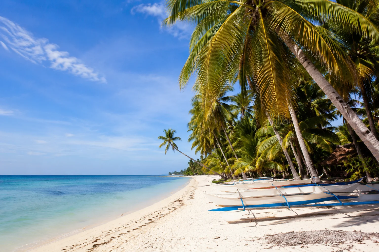 White sand beach with palm trees on Panglao Island, Bohol