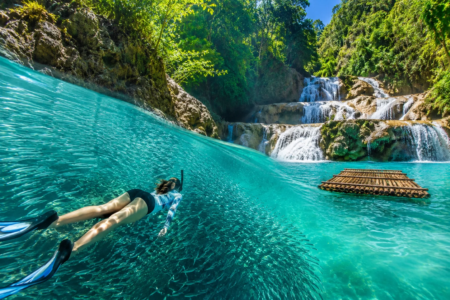 Moalboal day trip from Cebu — sardine run snorkelers and Kawasan Falls canyoneering in South Cebu