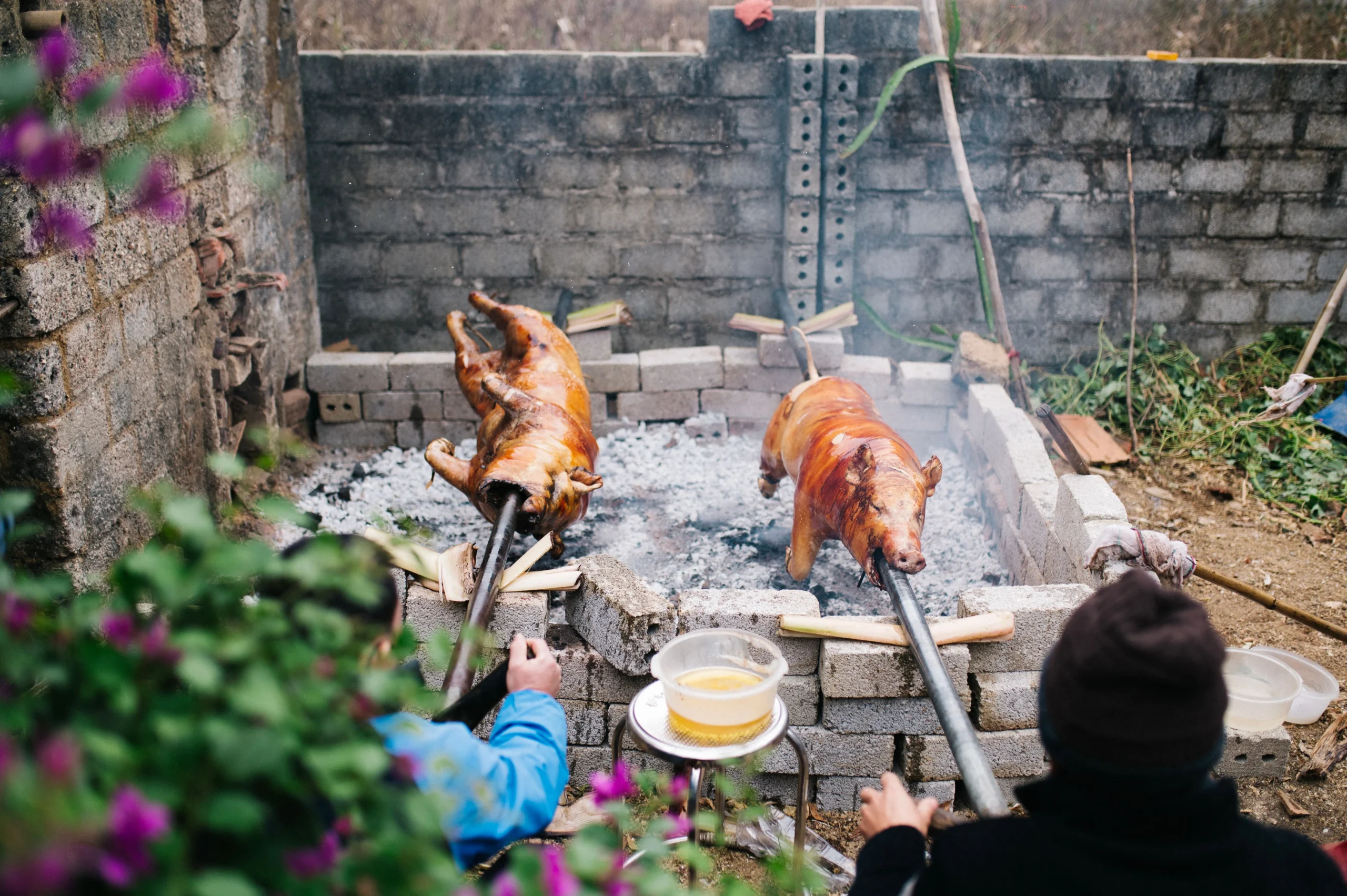 Cebu lechon, roasted pig specialty
