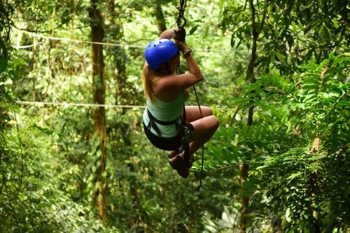 Zipline through forest canopy at Dahilayan Adventure Park