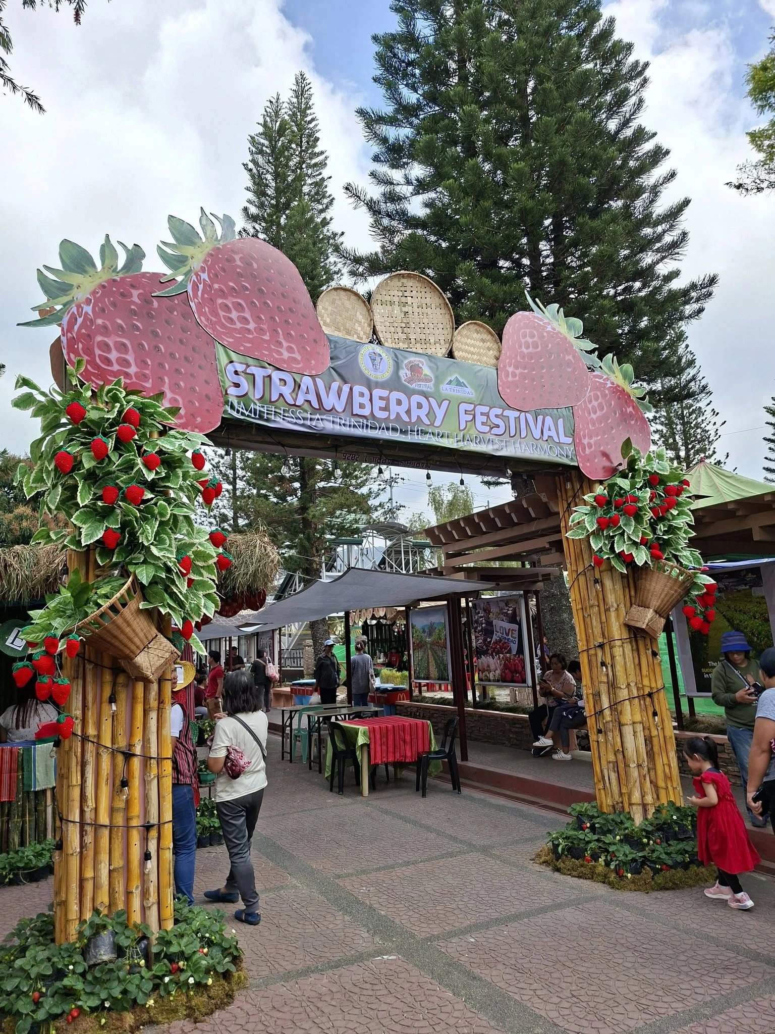 Fresh strawberries from La Trinidad, Benguet